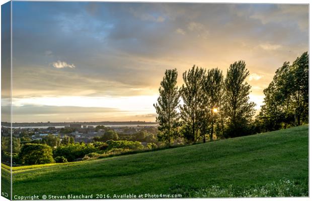 Through the trees Canvas Print by Steven Blanchard