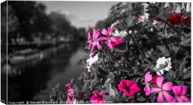 Canal side flowers Canvas Print by Steven Blanchard