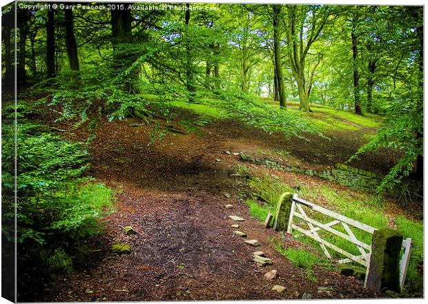  The white gate Canvas Print by Gary Peacock