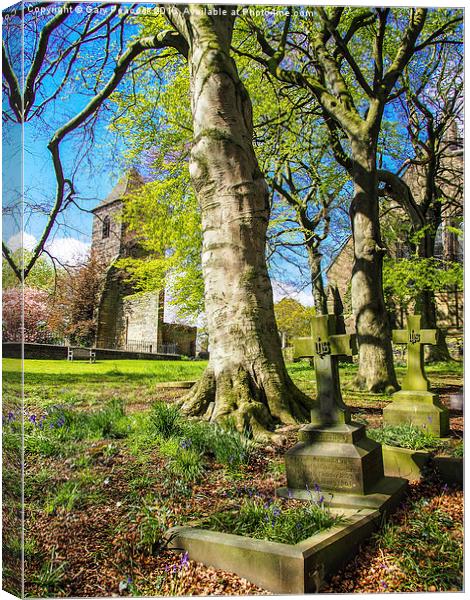  Graves in the spring Canvas Print by Gary Peacock