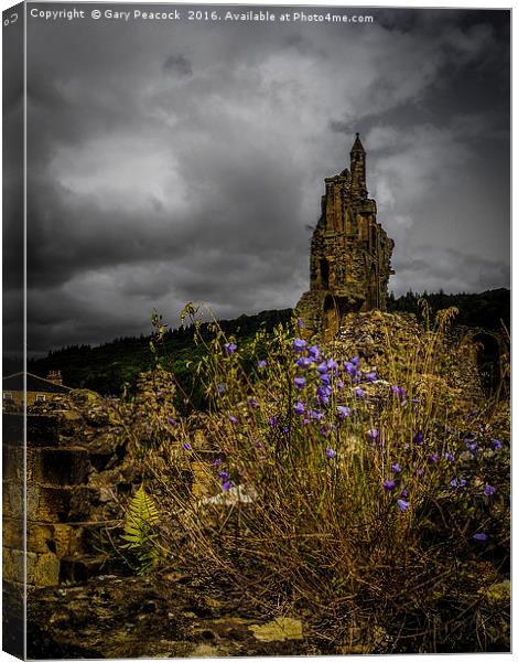 Flowers in the ruins Canvas Print by Gary Peacock