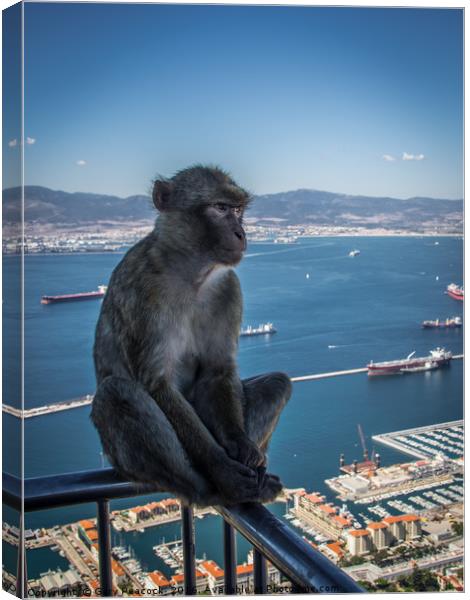 Feeling Blue In Gibraltar Canvas Print by Gary Peacock
