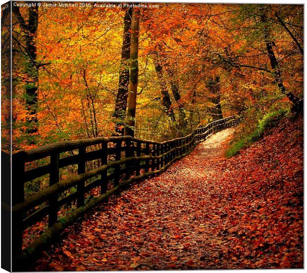  Autumn Path Canvas Print by Jamie Mitchell