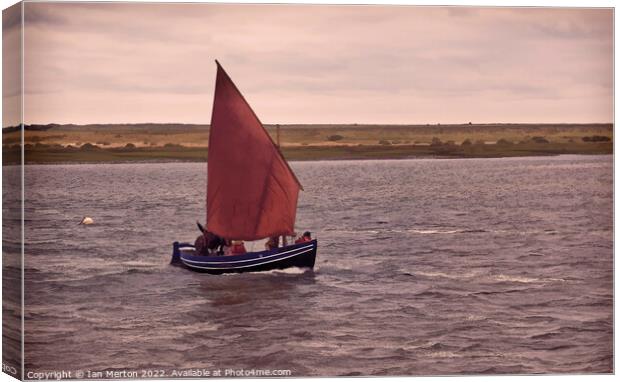 Catch The Wind Canvas Print by Ian Merton