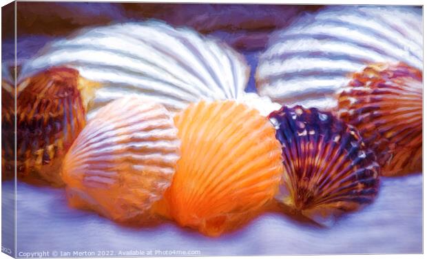 Shells Canvas Print by Ian Merton