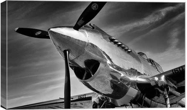 Curtis P40 Warhawk  Canvas Print by Ian Merton