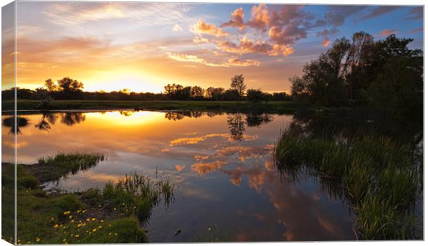  Stour Reflection Canvas Print by Ian Merton