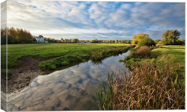  Over the Meadows Canvas Print by Ian Merton