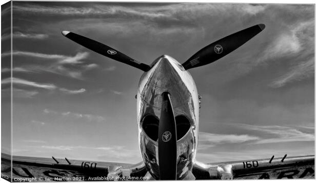 P-40 Warhawk Canvas Print by Ian Merton
