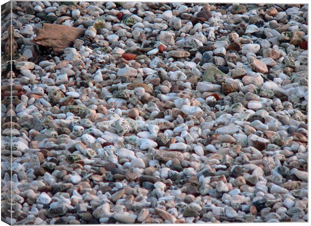 Pebbles on A Beach Canvas Print by Jackson Photography