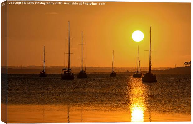  Golden Yachts Canvas Print by CRW Photography