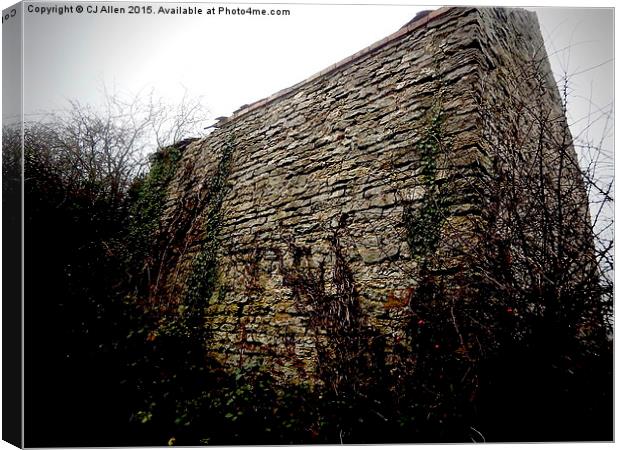   A stone outbuilding on Wenlock Edge, Shropshire Canvas Print by CJ Allen