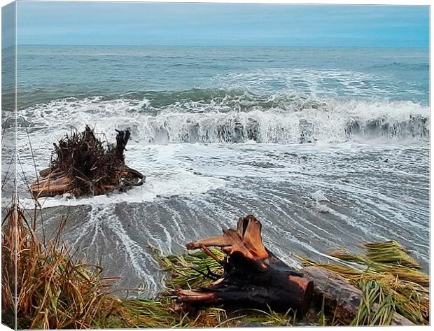  Sea Climbs into the Grass Canvas Print by dan Comeau
