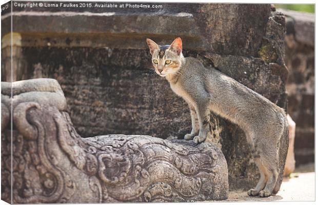 Stray Cat at Temple Ruins  Canvas Print by Lorna Faulkes