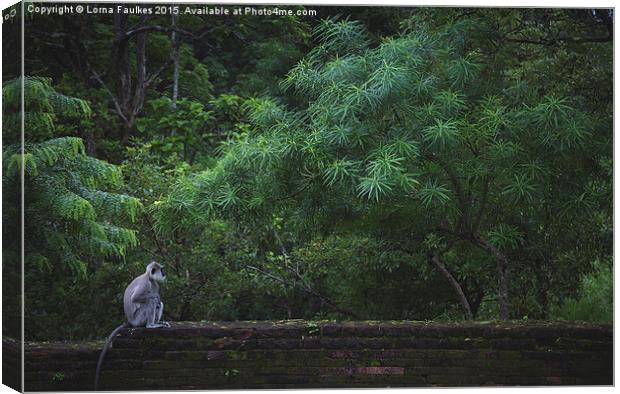 Grey Langur on Temple Wall Canvas Print by Lorna Faulkes