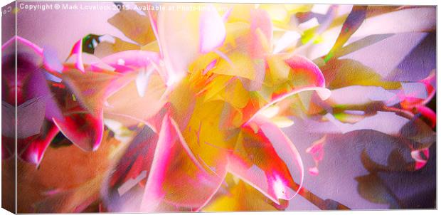  Flower Abstract Canvas Print by Mark Lovelock