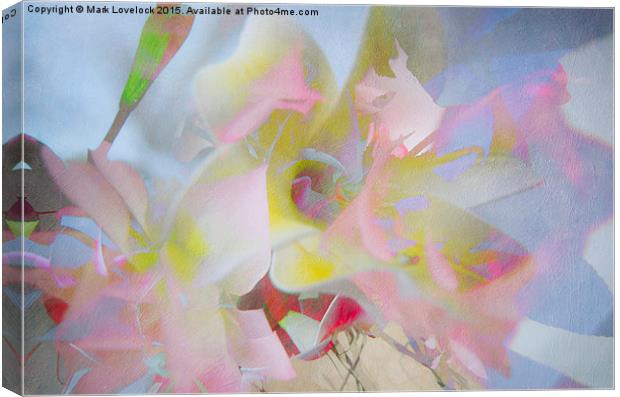  Multiple Flower Abstract Canvas Print by Mark Lovelock