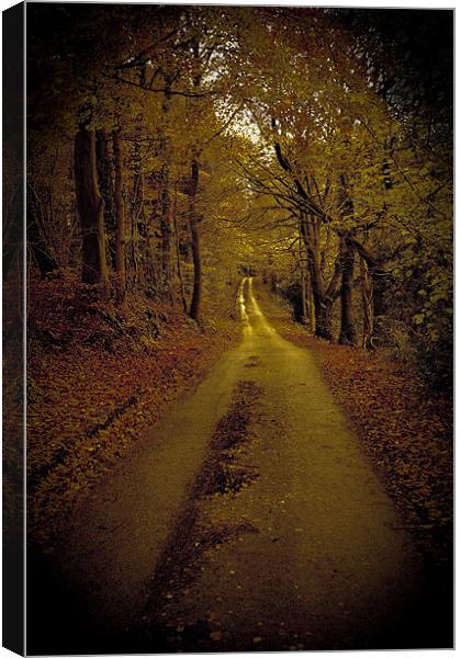 Calm road Canvas Print by S Fierros