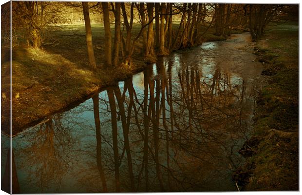 Calm reflections Canvas Print by S Fierros