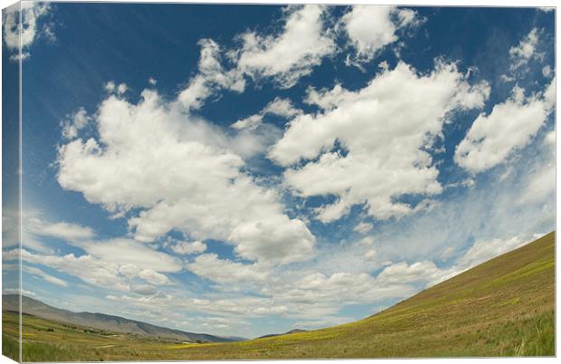 Montana Landscape Canvas Print by Michelle Ellis