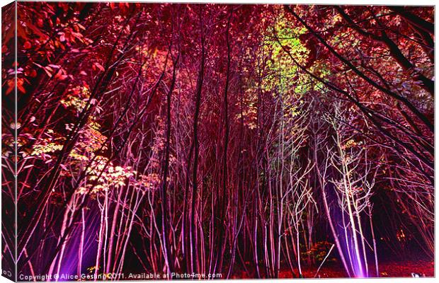 Electric Forest - Bedgebury Canvas Print by Alice Gosling