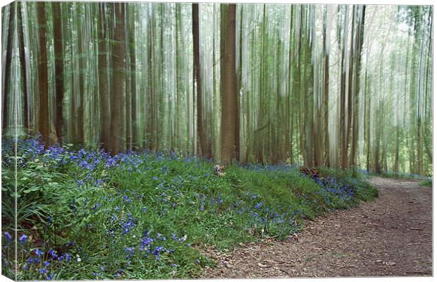 Bluebells in the Wind Canvas Print by Alice Gosling