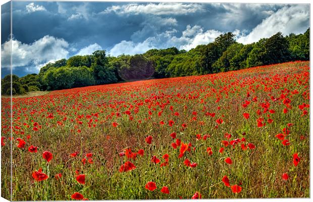 In Between the Downpours Canvas Print by Alice Gosling