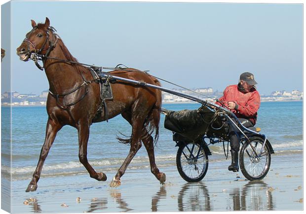 A trot on the beach Canvas Print by Lawson Jones