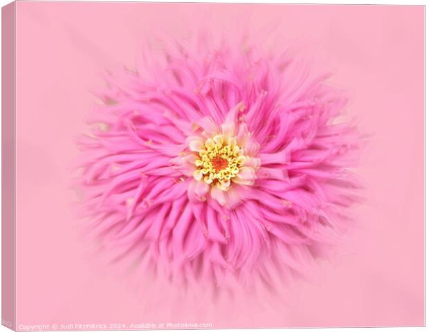 Fluffy Pink Do Over Canvas Print by Judi FitzPatrick