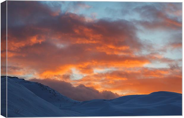 Fire and Ice Canvas Print by Lesley Newcombe