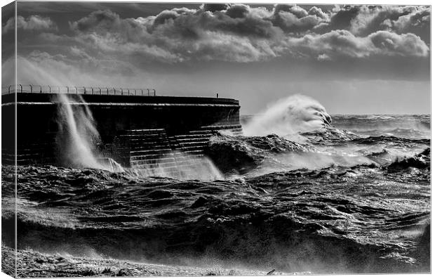 Hold on tight its a bit rough ! Canvas Print by Trevor Kerr