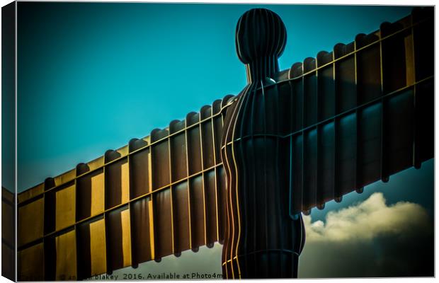 Head of an angel Canvas Print by andrew blakey