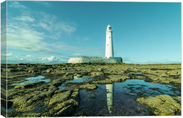 Reflecting on St Marys lighthouse Canvas Print by andrew blakey