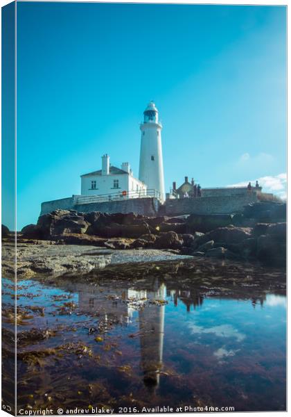 St Marys Lighthouse Canvas Print by andrew blakey