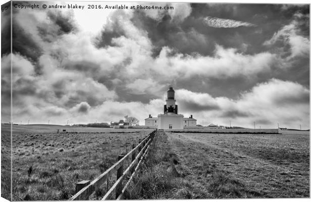 Souter Lighthouse Canvas Print by andrew blakey