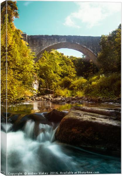 Portrait of Causey Arch Canvas Print by andrew blakey