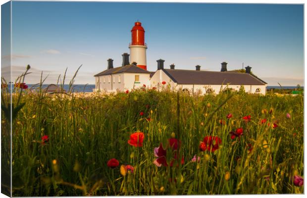 Souter lighthouse with flowers Canvas Print by andrew blakey