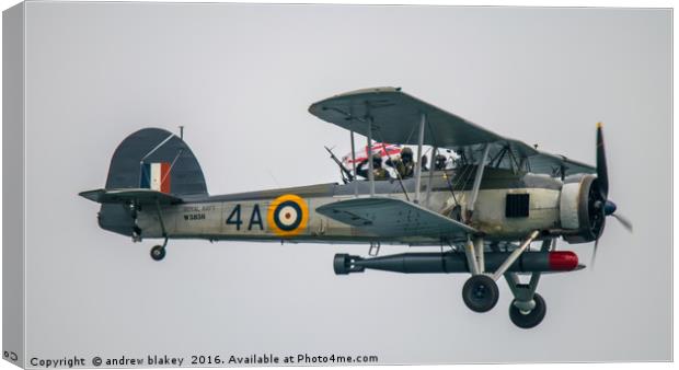 Graceful Blackfish in Royal Navy Canvas Print by andrew blakey