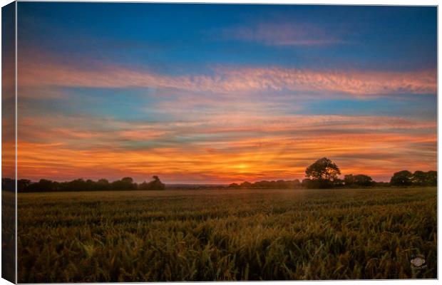 Majestic Sunset over Cleadon Cornfields Canvas Print by andrew blakey