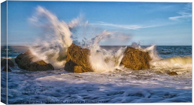 Breaking water Canvas Print by andrew blakey