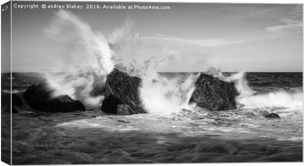 Breaking water mono Canvas Print by andrew blakey