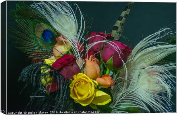 Feathers and Roses Canvas Print by andrew blakey