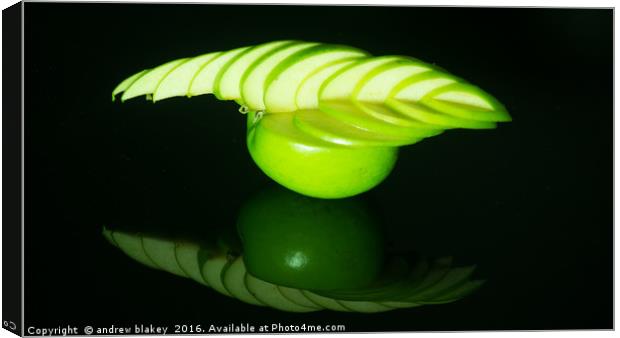 carved green apple Canvas Print by andrew blakey
