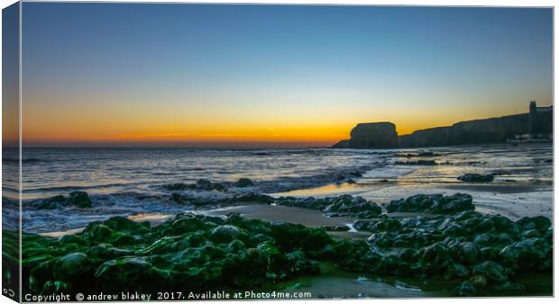 Smugglers' Haven: A Rocky Adventure in Marsden Bay Canvas Print by andrew blakey