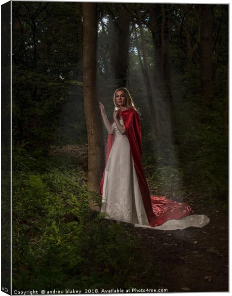 Enchanting Red Riding Hood Canvas Print by andrew blakey