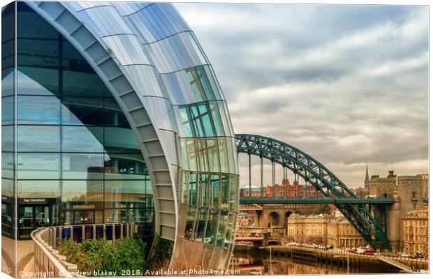 The Serpentine Tyne Canvas Print by andrew blakey