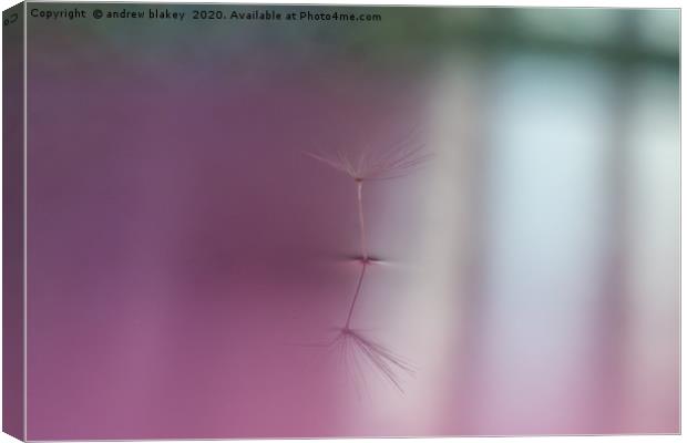 Radiant Dandelion Reflection Canvas Print by andrew blakey