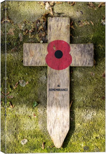 Remembrance Canvas Print by Richard Downs