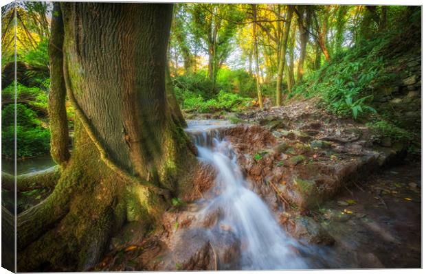 In the heart of Wales Canvas Print by Richard Downs