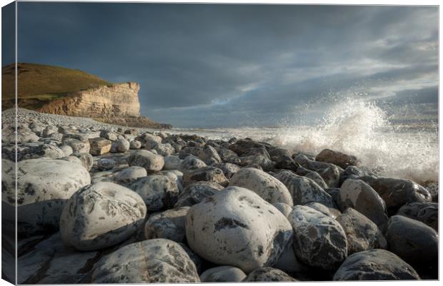 Ancient Land Canvas Print by Richard Downs